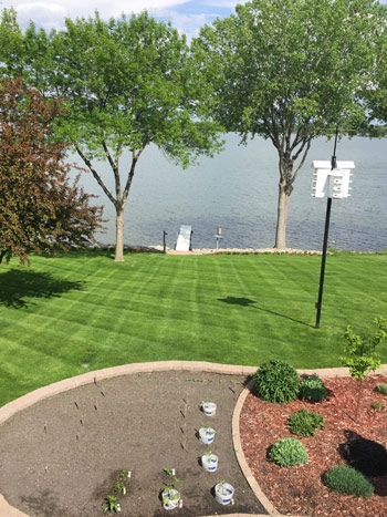 Yard Lawn Landscaping