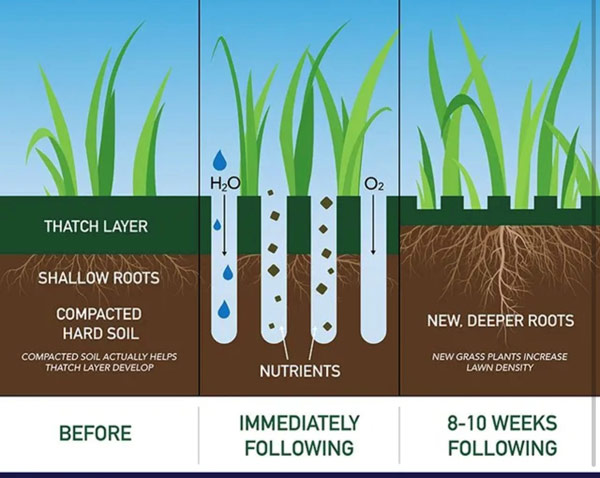 Aeration Illustration