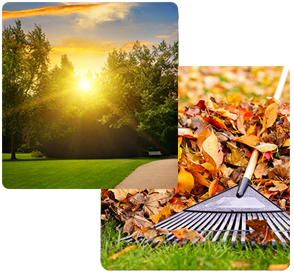 lawn care image